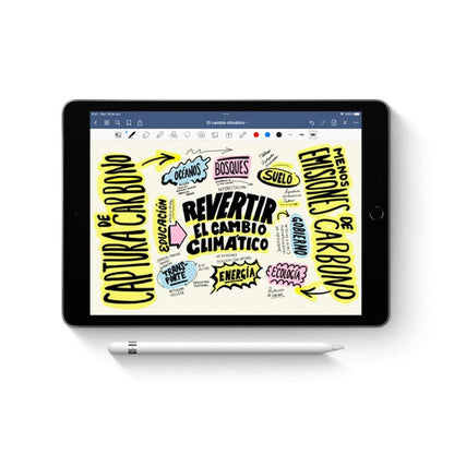 Apple Pencil 1ª Gen