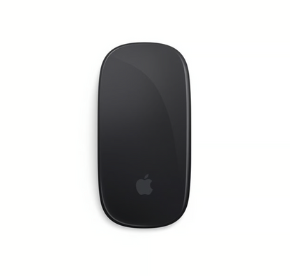 Magic Mouse 2