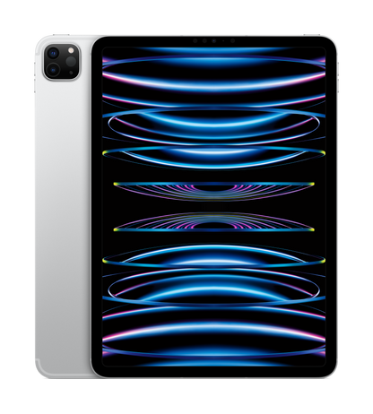 Pad Pro 11 M2 4Gen Wi-Fi + Cellular